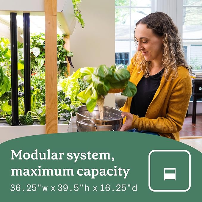 Rise Gardens 1 Level Garden | Hydroponics Growing System Wi-Fi &amp App Controlled Indoor Garden with Growing Lights &amp Self-Watering System | Cloud