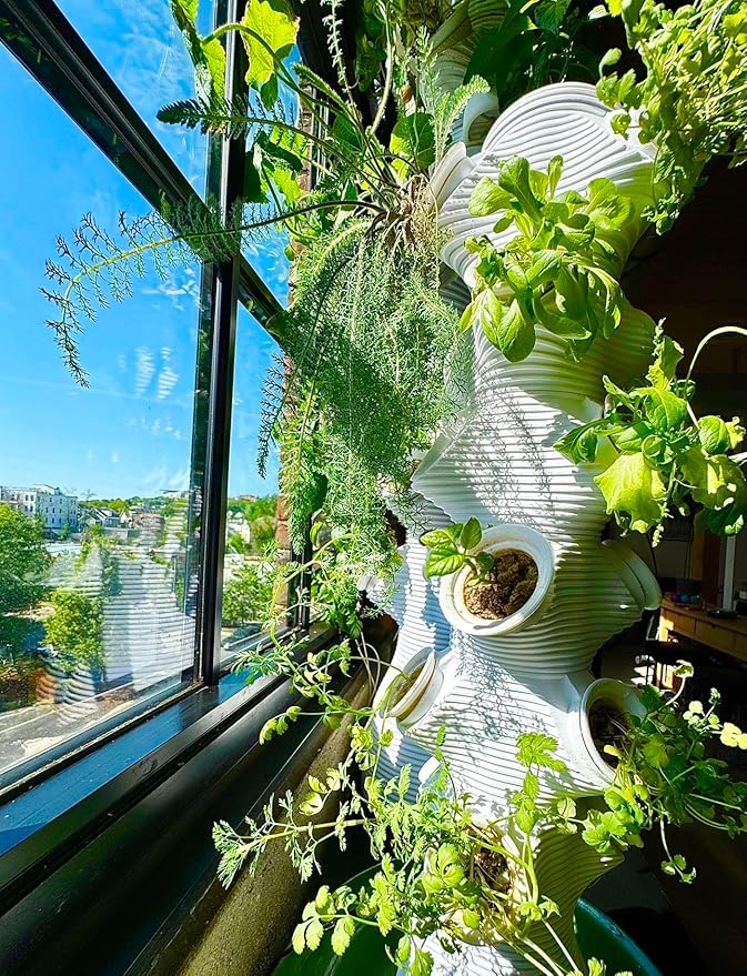 Indoor Desktop Hydroponics Tower System Growing Kit Perfect for Edible Flowers Herbs and Vegetables for Homes Offices Apartments and Studios.