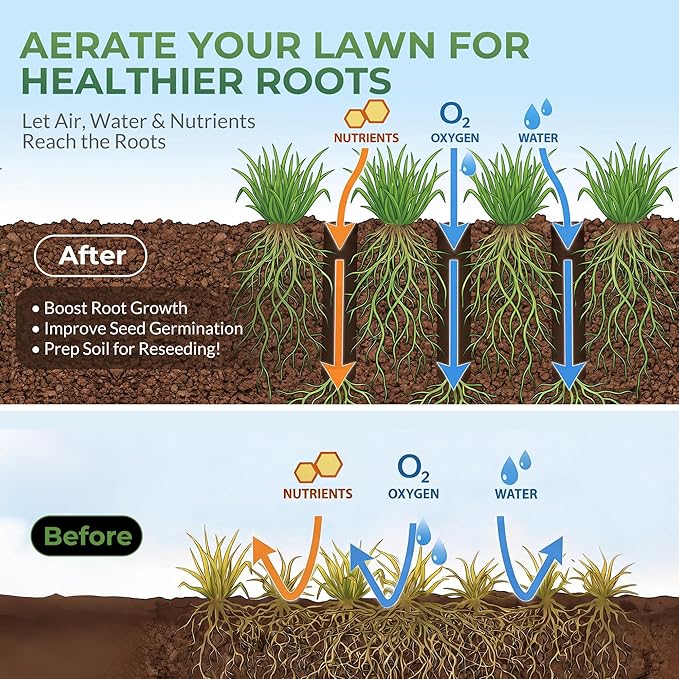 Walensee Four-Row Spike Lawn AeratorManual Heavy-Duty Steel Aerator Lawn Tool with 20 Sharp SpikesIdeal for Small YardsLawn EdgesSpot Seeding &amp Soil PrepBare Spots RepairGardening Aeration T