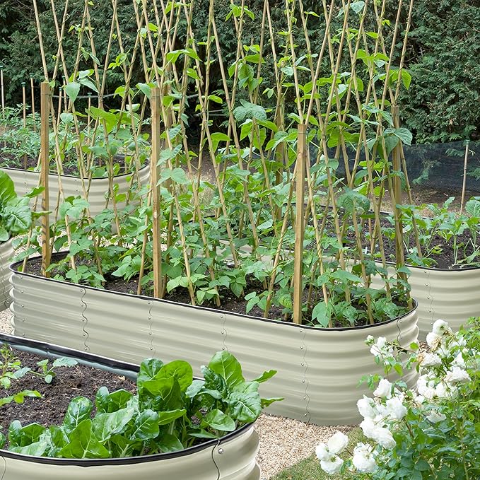 MUPATER 8ftx2ftx1.4ft Raised Garden Bed Outdoor for Vegetables 9-in-1 Galvanized Metal Planter Box 17''H Modular Garden Bed Kit Oval for Herbs and Flowers Pearl White