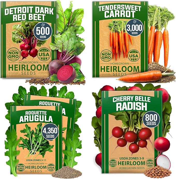 Root Vegetable Seed Variety Pack – Over 8600 Non-GMO USA Heirloom Seeds: Arugula Tendersweet Carrots Detroit Dark Red Beets &amp Cherry Belle Radish – Fast Growing for Spring &amp Fall Gardens