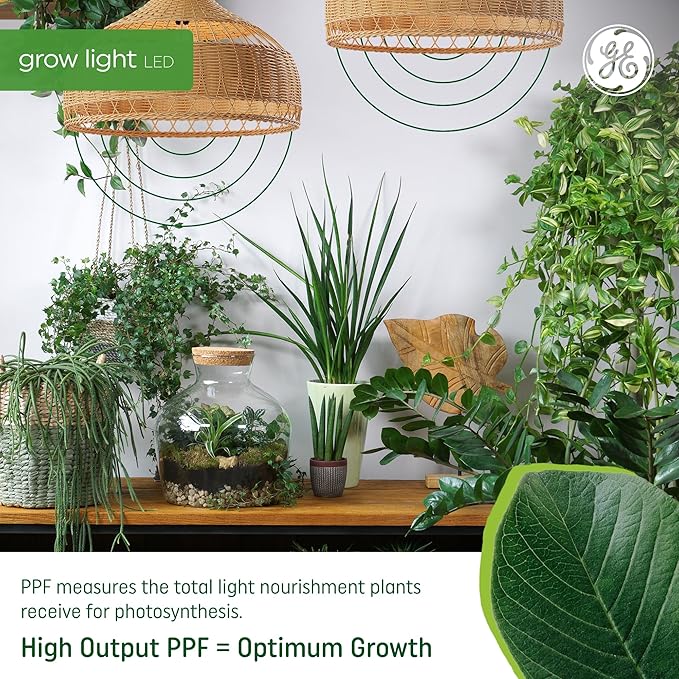 GE Grow Lights for Indoor Plants BR30 Indoor Floodlight LED Light Bulbs for Seeds and Greens with Balanced Spectrum 25000 Hours Lifespan 16 PPF 2 Pack (Packaging May Vary)