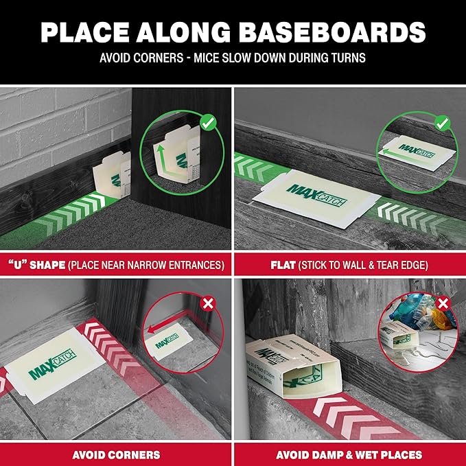 Catchmaster Max-Catch Mouse &amp Insect Glue Trap 72pk Mouse Traps Indoor for Home Sticky Pest Control Adhesive Tray for Catching Bugs Bulk Classic Glue Boards