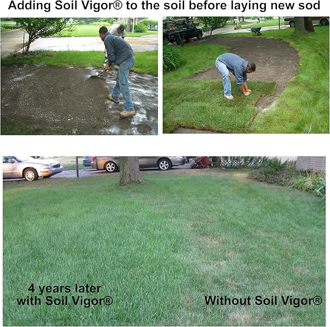 Introducing Soil Vigor® Granular: Revolutionizing Plant Hydration and Growth - 2 Pounds (Large Granules / 5-10 mesh)