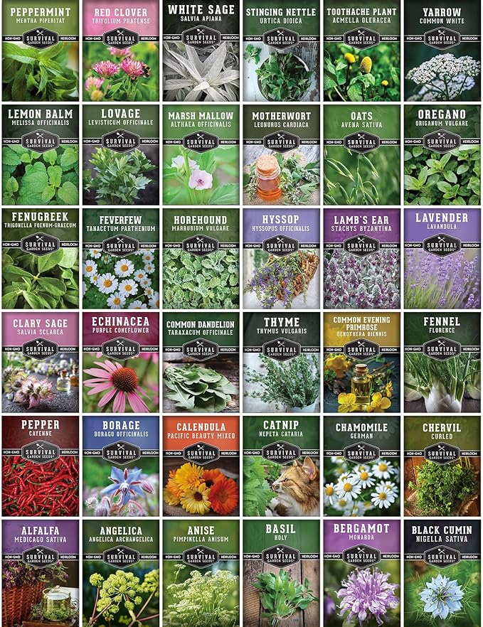 Ultimate Medicinal Herb Seeds Variety Pack – 36 Heirloom Non-GMO Healing Herbs for Planting | Wellness &amp Apothecary Garden Kit for Herbalists Homesteaders – Survival Garden Seeds (28000+)