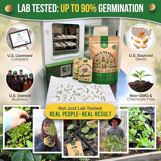 Organo Republic 30 Medicinal &amp Tea Herb Seeds Variety Pack 15560+ Non-GMO Heirloom Garden Seeds for Indoor &amp Outdoors Including Anise Bergamot Borage Cilantro Chamomile Dandelion Seeds