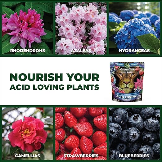 GreenGro Acid Loving Organic Fertilizer - 4 Pound Bag | Outdoor &amp Indoor Plant Food | Great for Flowers &amp Houseplants |