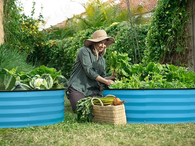 Plant &amp Plot Galvanized Raised Garden Beds Outdoor // 4×2×1 ft &amp 4×4×1 ft Planter Raised Beds for Gardening Vegetables Flowers // Large Metal Garden Box (Teal)