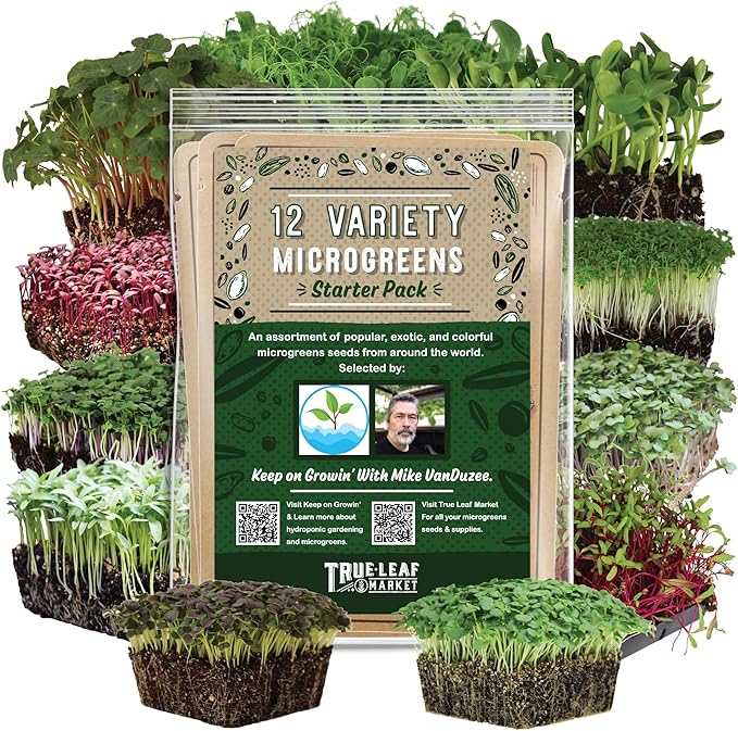 12 Variety Pack Microgreens Seeds Kit - Broccoli Seed for Sprouting Plus Purple Radish Beet Sunflower Microgreens Peas Shiso Cilantro Beet Pak Choi Korean Shiso Cress &amp More