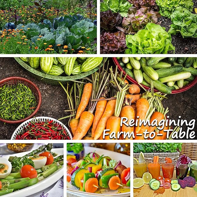 Mountain Valley Seed Company Vegetable Garden Can 50000+ Seeds 16 Varieties for Long Term Storage Emergency Supply Survival Include Tomato Pepper Squash Cucumber Lettuce Carrot &amp More