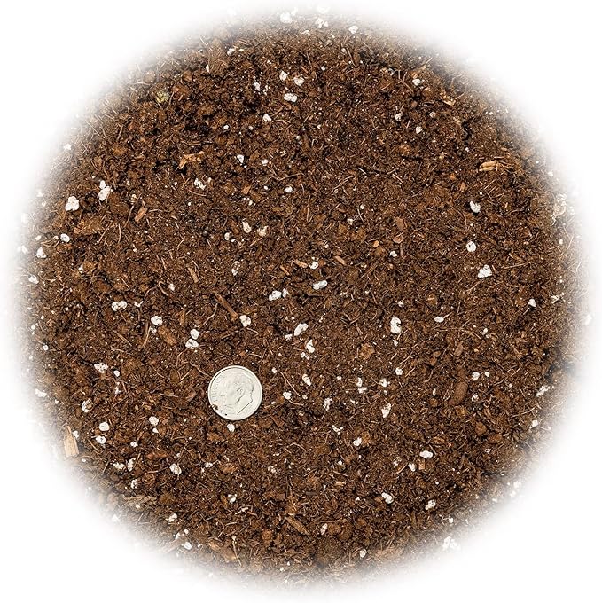 GARDENERA Money Tree Potting Soil - 10 Quart - Soil Mix for Planting or Repotting Guiana Chestnut Blended Mix to Properly Grow Money Tree Plants (2 Bags of 5 Quart)