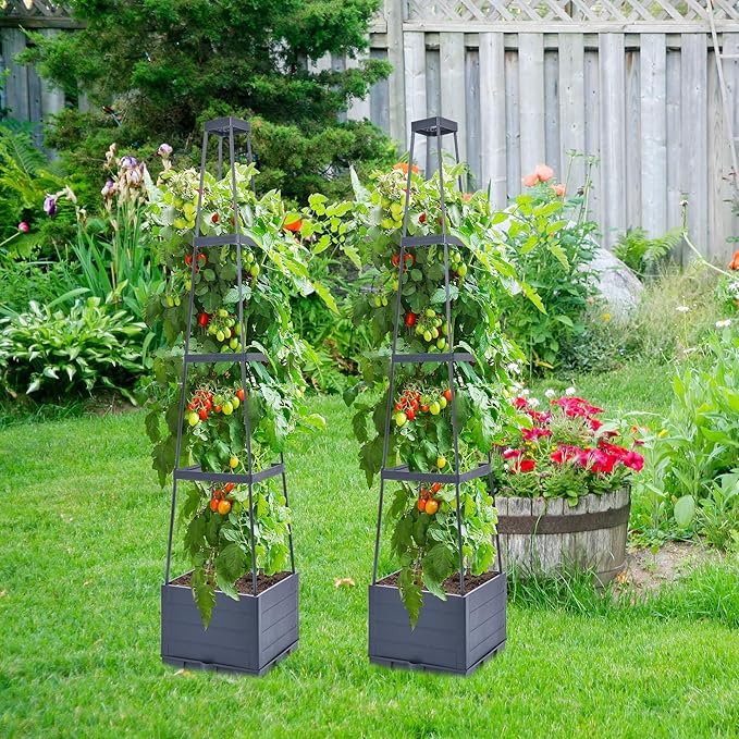 GENMOUS Raised Garden Bed with Tomato Planter Box Trellis 56'' Tomato Cages for Garden Tomato Planter Cage for Patio for Climbing Plants Vegetable Vine Flowers Outdoor &amp Indoor 2 Pack