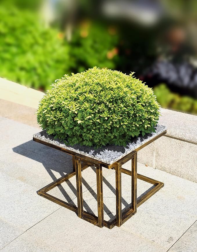 14.5 Marble Black Gold Plant Stand