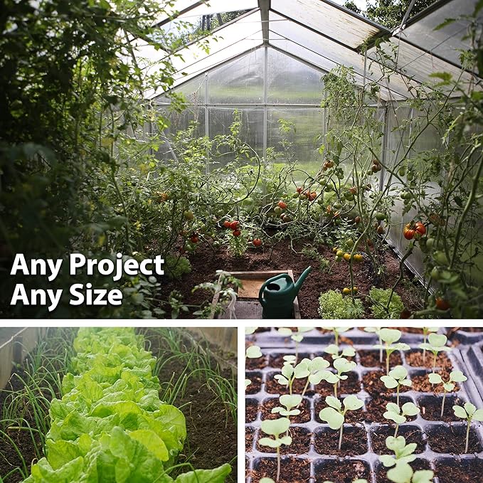 Mammoth Melting Sugar Pod Snow Pea Garden Seed - 5 Lbs ~9000 Seeds - Non-GMO Heirloom Vegetable Gardening &amp Microgreens Seed