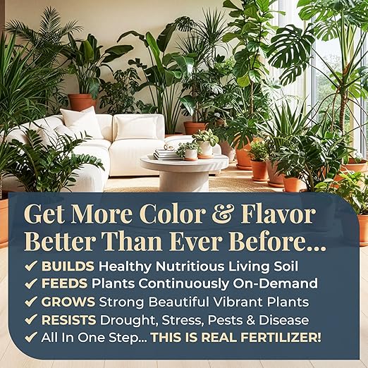 Organic Plant Magic - Fast-Acting Water Soluble Plant Food - All-Purpose Fertilizer Concentrate for Flower Vegetable Herb Fruit Tree Garden &amp Indoor Houseplants [One 1/2 lb Bag]