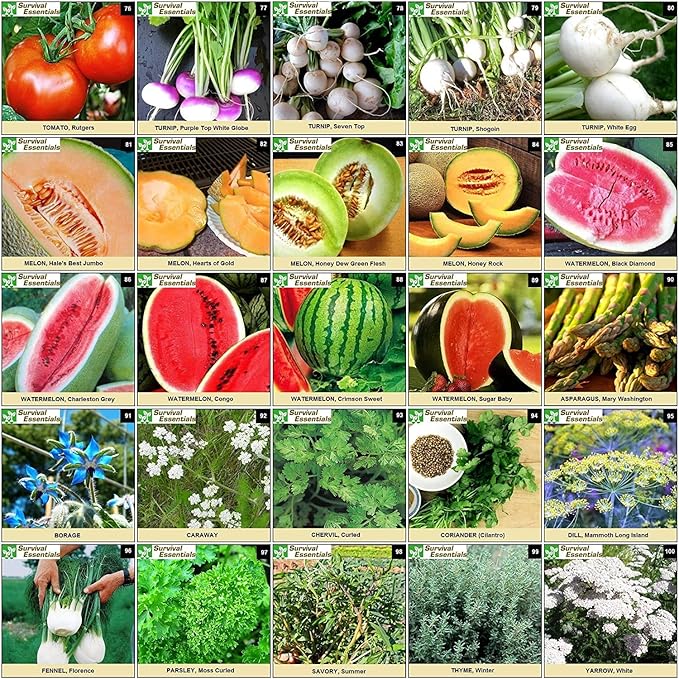 Garden Heirloom Seed Vault 100 Variety Over 17500 Vegetable Fruit and Herbs Seeds Non-GMO Non-Hybrid Plus Free Microgreens Kit