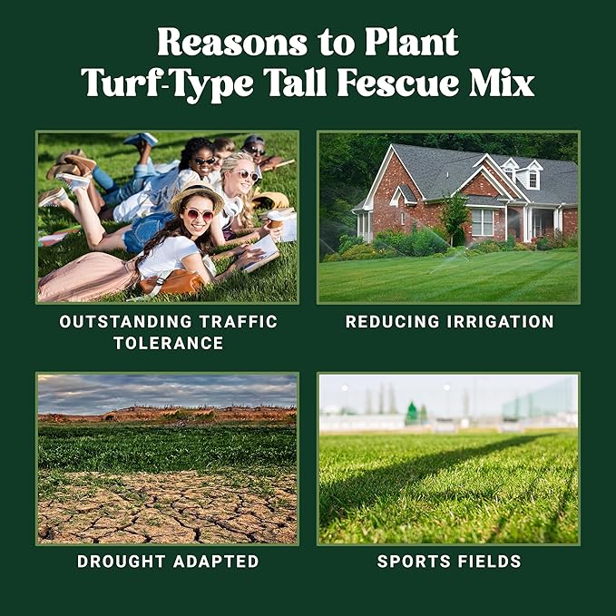 Nature’s Seed Triple-Play Turf Type Tall Fescue Grass Seed Blend High-Traffic Heat and Drought Tolerant for Garden Lawn Yard 5 Lbs