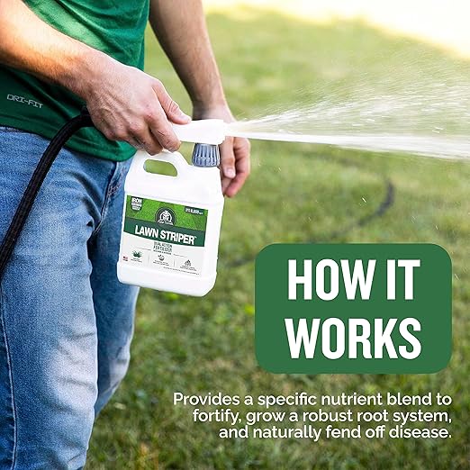 Turf Titan Lawn Striper Hose End – Iron &amp Nitrogen Fertilizer to Promote Dark-Green Stripe-Defined Turfs – Kids &amp Pet Safe Natural Lawn Fertilizer – Green Grass Solution – 6000 Sq Ft (32 oz