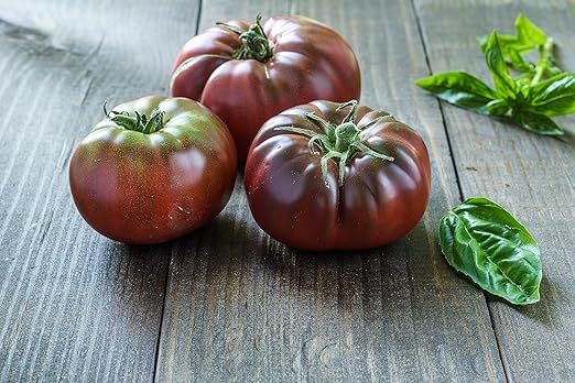 Hyr Brix Serious Fertilizer TF-5 Tomato Fertilizer 5-8-10 (5 LBS) - Maximize Production Prevent Disease All Purpose Fertilizer