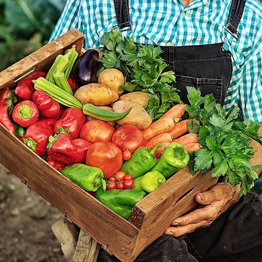 The Old Farmer's Almanac Organic Tomato &amp Vegetable Plant Food Fertilizer (4.5 Lbs - Covers 500 Square Feet) OFA-TV848