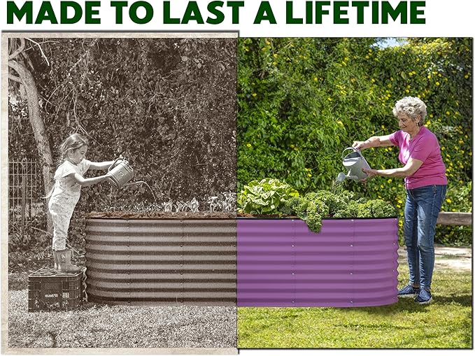 Plant &amp Plot Galvanized Raised Garden Beds Outdoor // 4×2×2 ft Planter Raised Beds for Gardening Vegetables Flowers // Large Metal Garden Box (Purple) // Patented Tool-Free Design