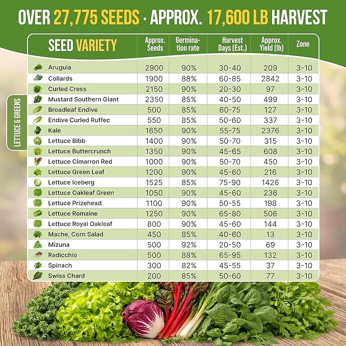 Organo Republic 22 Lettuce &amp Salad Greens Seeds Variety Pack 24700+ Non-GMO Heirloom Lettuce Seeds for Indoor &amp Outdoor Garden Hydroponic &amp Aeroponic - 2026 Season - Arugula Spinach Sw