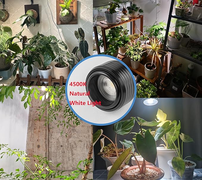 Hook Type Wall Mounted Plant Light Full Spectrum 4500K 10W Adjusted Angle &amp Light Beam Range 15°-60° Modern White Metal Wood Wall Lamps for Indoor Growing Plants Flowers 2 Pack