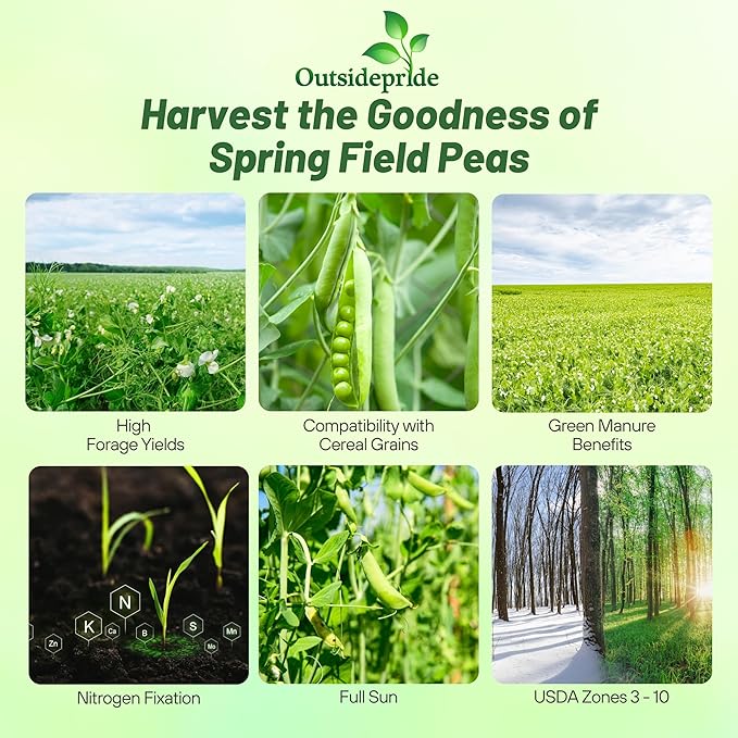 Outsidepride Dundale Spring Field Peas Seeds - 50 lbs. Annual High-Protein Legume &amp Cover Crop Seeds for Forage Food Plot Gardens &amp Pastures - Ideal for Improving Soil Health &amp Erosion