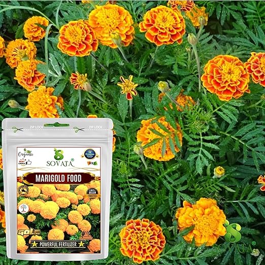 Sovata® Marigold Food Powerful Organic Fertilizer for Heavy Flowering and Fast Growth of Marigold Plants. (900 gm)