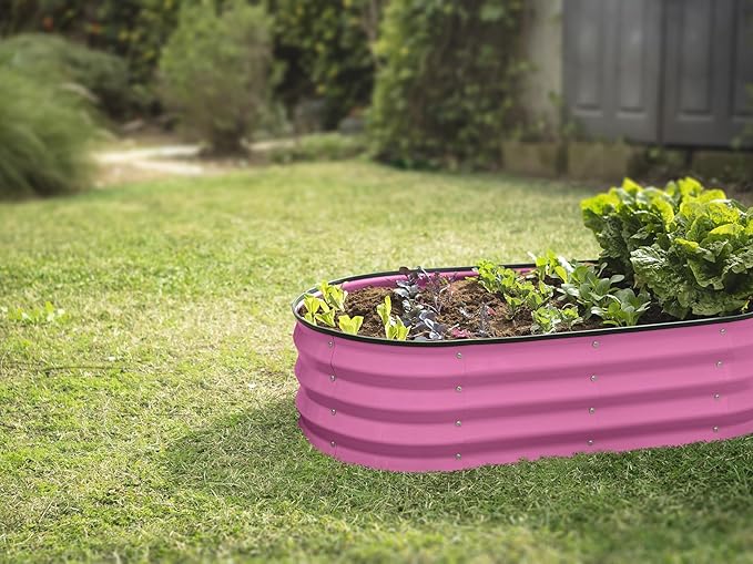 Plant &amp Plot Galvanized Raised Garden Beds Outdoor // 4×2×1 ft &amp 4×4×1 ft Planter Raised Beds for Gardening Vegetables Flowers // Large Metal Garden Box (Pink)