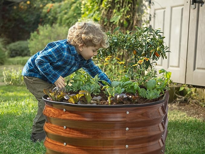 Plant &amp Plot Galvanized Raised Garden Beds Outdoor // 4×2×1 ft (2-Pack) Planter Raised Beds for Gardening Vegetables Flowers (Dark Wood Grain) // Large Metal Garden Box