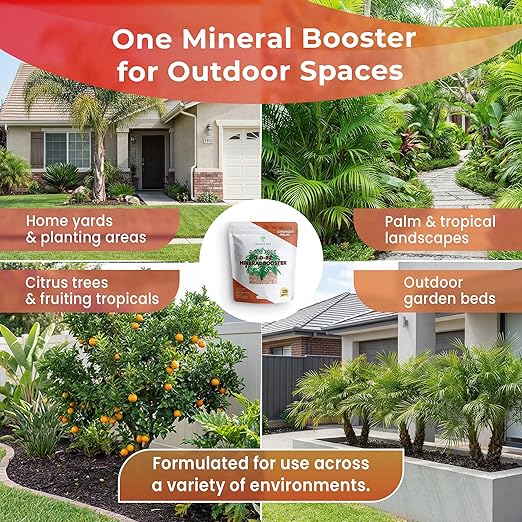 Leaves and Soul Palm Tree Mineral Booster - Granular 0-0-22 Blend - Fertilizer with Essential Nutrients for Outdoor Palms Citrus Trees &amp Tropical Plants - 5 lbs