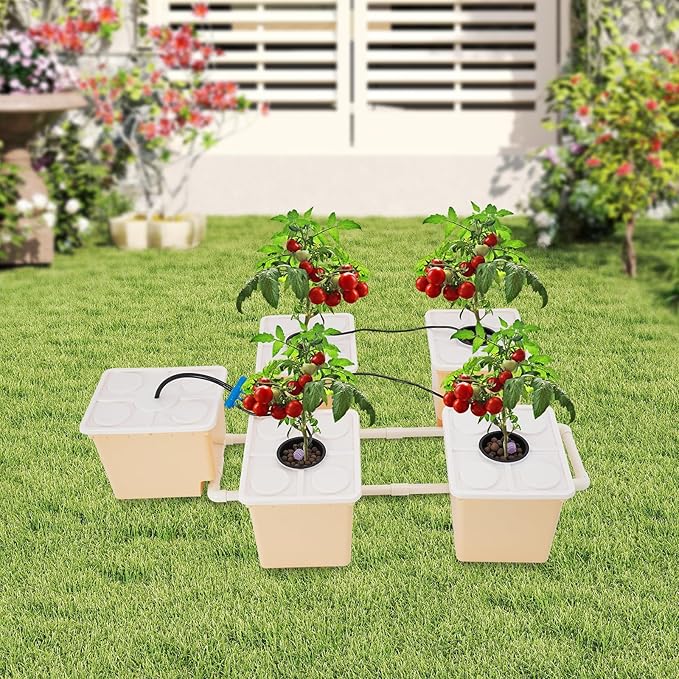 DWC Hydroponics Grow System with Top Drip Kit Plant Buckets Kit 3-Gallon Water Culture Recirculating Drip Garden System with Multi-Purpose Multi-Purpose Air Hose Air Pump and Air Stone