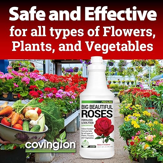 Covington Liquid Rose Fertilizer for All Types (32oz) – Liquid Concentrate for Desired Rose Tone – Natural Flower Bush Fertilizer for Indoor &amp Outdoor Use – Bloom Growth Plant Food
