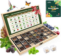 Lush&ampDew Year-Round USDA Zone 5 Seed Bank 32 Varieties Non-GMO Heirloom Seeds of Vegetables Herbs Gardening Gifts for Women Men Emergency Survival Kit for Raised Garden Bed Greenhouse