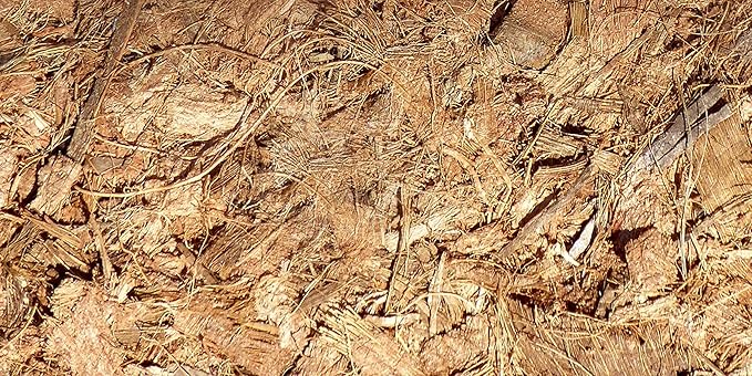 FibreDust 17 lbs Coconut Coir Mulch - 4KG Pack of 2-100% Natural Coconut Husk - Shredded and Cut Pieces - Great Ground Cover - Helps in Retention of Water - No Added Color