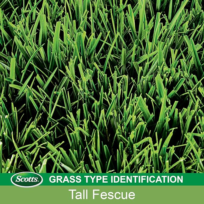 Scotts Turf Builder Grass Seed Tall Fescue Mix Grows Deep Roots for a Durable Livable Lawn 40 lbs.