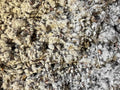 Cotton Seed Hulls Landscape Garden Amendment 1 Cubic Foot