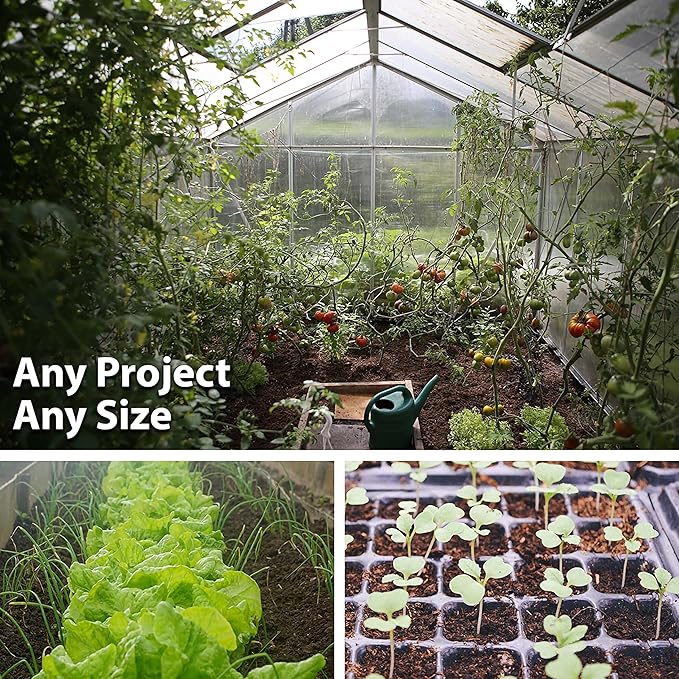 Caveman’s Club Gourd 4 Oz ~540 Seeds – Maranka Heirloom Variety – 120 Days – Non-GMO Annual – 10–16 Long Curved Gourds – Edible When Young – Trellis Support Recommended