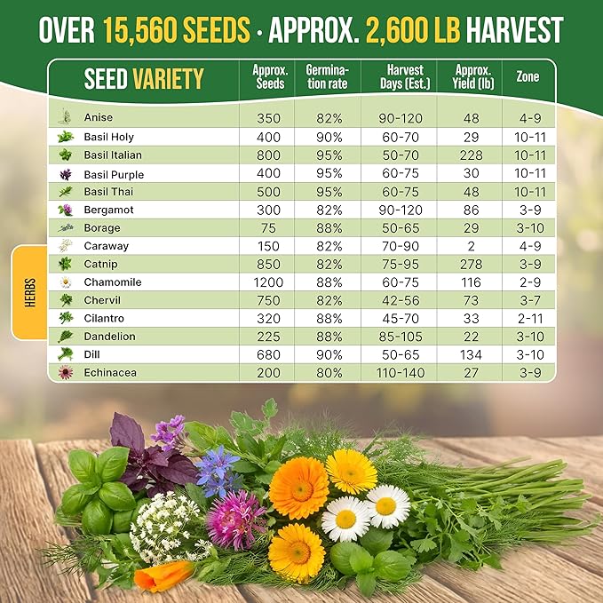 Organo Republic 30 Medicinal &amp Tea Herb Seeds Variety Pack 15560+ Non-GMO Heirloom Garden Seeds for Indoor &amp Outdoors Including Anise Bergamot Borage Cilantro Chamomile Dandelion Seeds