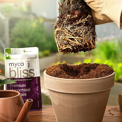 Myco Bliss Granular (2lbs) - Mycorrhizal Fungi for Plants - 5 Strain Mycorrhizal Inoculant with 1000 Propagules Per Gram - Highly Concentrated Mycorrhizae for Plants Potting Soil &amp Garden Soil