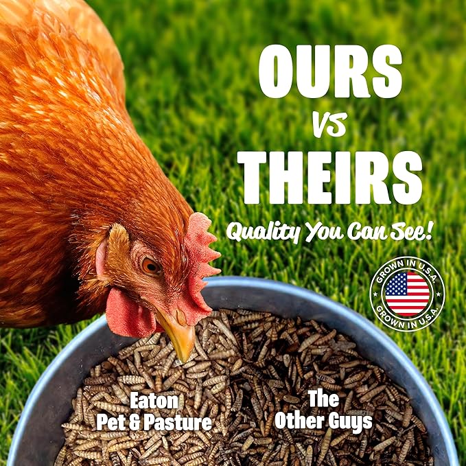 Eaton Pet and Pasture Premium Grubs USA Grown Dried Black Soldier Fly Larvae High Calcium Treat for Chickens Ducks Wild Birds (5 LB)