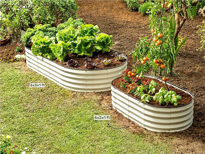 Plant &amp Plot Galvanized Raised Garden Beds Outdoor // 6×3×1 ft (2-Pack) Planter Raised Beds for Gardening Vegetables Flowers // Large Metal Garden Box // Patented Tool-Free Design (White)