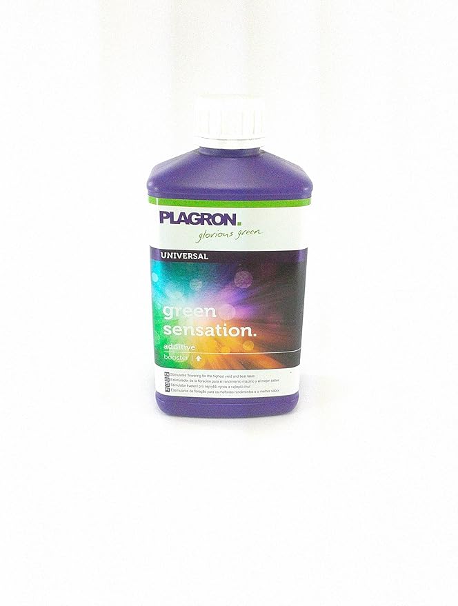 Garden House House &amp Garden - Bud XL 1L