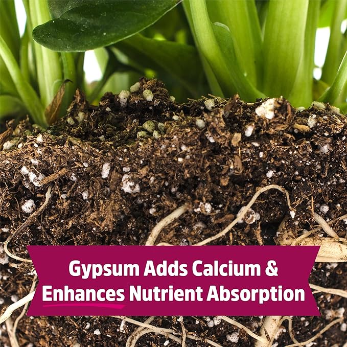 Back to the Roots Organic Blood Meal with Gypsum (3lb Pack of 4)