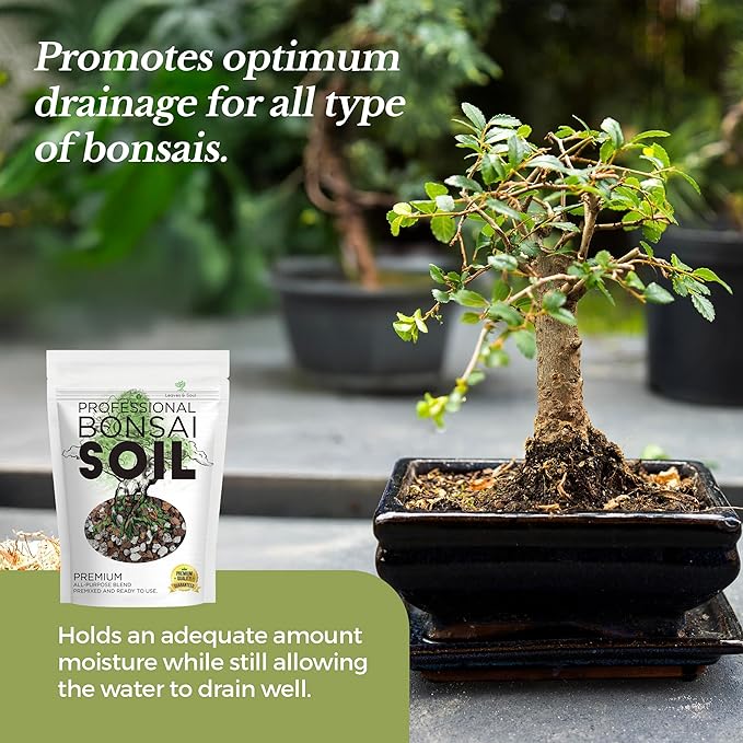 Large Bonsai Soil Premium All Purpose Blend | Pre-Mixed Ready to Use for Plant Support and Fast Drainage | Lava Limestone Pearock Calcined Clay and Pinebark | Extra Large 8.2 Quarts | Made in USA