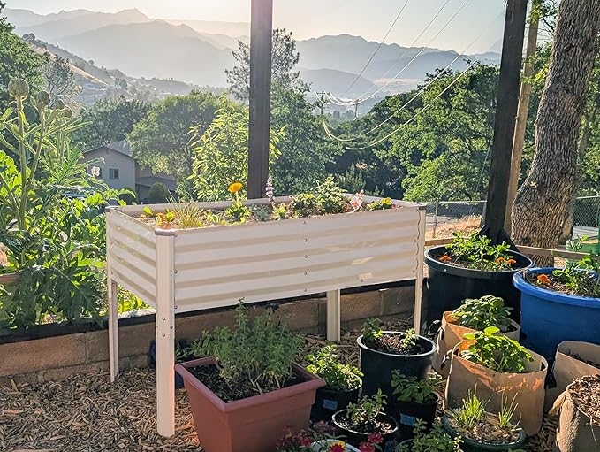Galvanized Raised Garden Beds Outdoor with Legs // 48×24×31in Elevated Planter Box for Vegetables Flowers (White) // Large Metal Garden Bed for Backyard Patio Gardening
