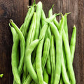 Contender Bush Bean Seeds - 5 Lb - Non-GMO Heirloom - Also Called Buff Valentine - Vegetable Garden Seeds