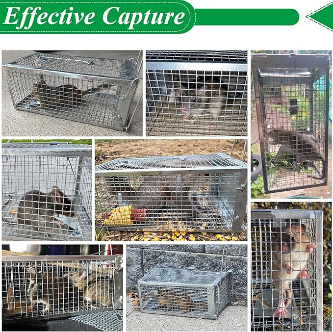 2 Packs Humane Rat Trap Outdoor Wanqueen Humane Mouse Traps Indoor for Home Small Rodent Chipmunk Trap and Other Live Animal Cage Catch and Release