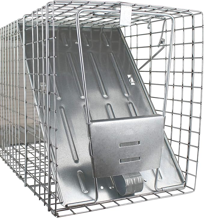 HAVAHART 1079SR Large 1-Door Humane Catch and Release Live Animal Trap Cage - Live Raccoon Trap for Bobcats Beavers Dogs &amp More